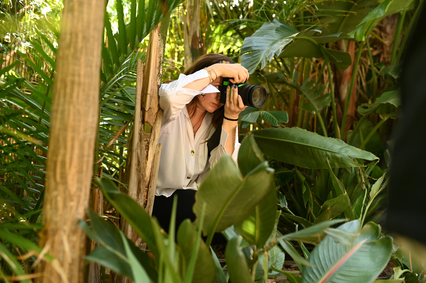 Botanical Garden